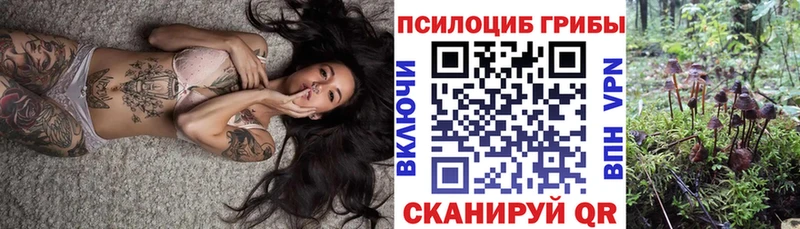 Галлюциногенные грибы прущие грибы  Гаджиево 